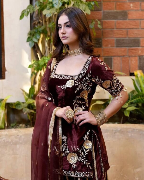 Heavy Velvet Embroidered Sharara Set - Image 8