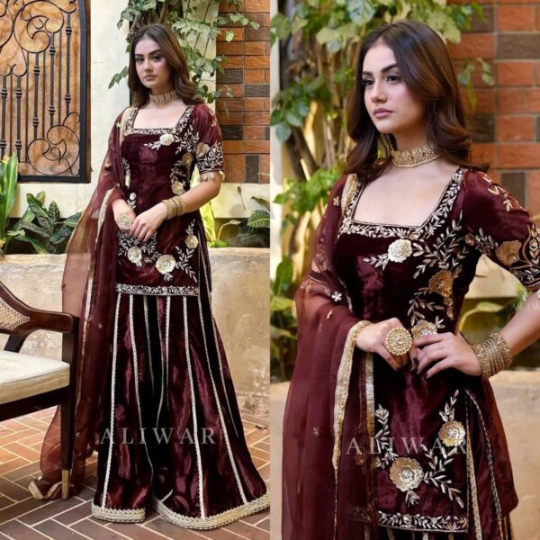 Heavy Velvet Embroidered Sharara Set - Image 3