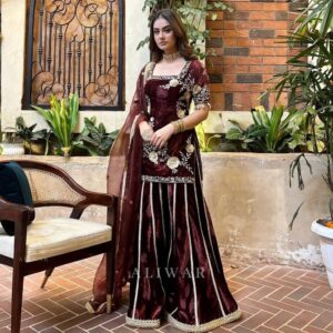Heavy Velvet Embroidered Sharara Set