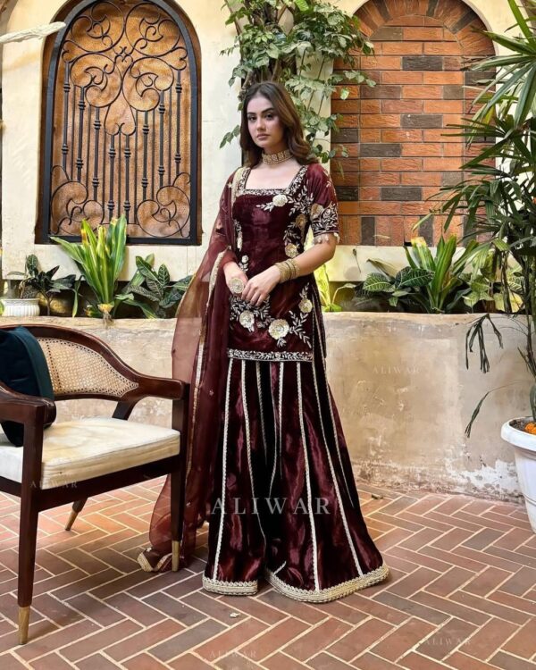 Heavy Velvet Embroidered Sharara Set